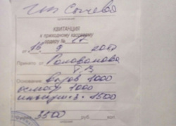 … и квитанция от некоего ИП Сычева — все что осталось от визита «ветеринара» Васильевой