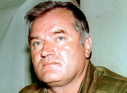 Сербский командарм разделит судьбу президента Милошевича