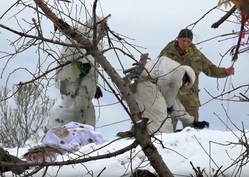 Поле боя осталось за ополченцами