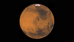 Жилье на Марсе будет напоминать лес под куполом