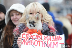 На Ямале продолжаются убийства собак на улицах городов