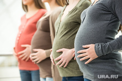 Клипарт Депозитфото, беременные, живот беременной, женщина в положении, пособие по беременности, Декрет