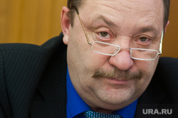 Заседание Екатеринбургской городской думы. Екатеринбург, шадрин роман