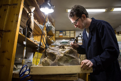 Находка ученых меняет отношение к тому, где появились титанозавры