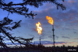 «Сибнефтегаз» выиграл аукцион по одному из крупных месторождений нефти и газа в ЯНАО