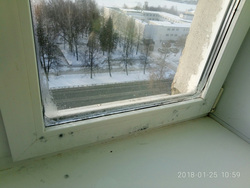 На окнах плесень, изнутри изморозь