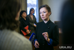 Заседание Межведомственной рабочей группы при Уполномоченном при Президенте России по правам ребенка. Москва, кузнецова анна