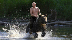 Путин заверил, что никогда не скакал на медведе