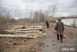Вырубка парка на пересечении улиц Республики и Пермякова. Тюмень , бревна, спиленные деревья, пешеходы
