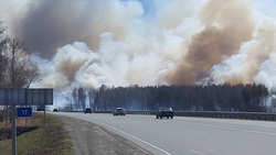 Природный пожар за окраиной столицы Южного Урала