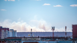 Дым поднимается над подступающим к Челябинску лесом