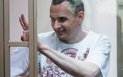 Сенцова приговорили к 20 годам лишения свободы