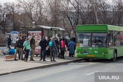 Автобусы. Тюмень , автобусная остановка, автобус, пешеходы