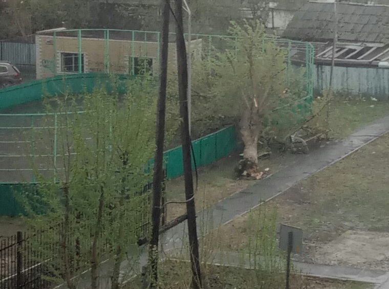 На улице Ватутина во дворах ветер опрокинул дерево на провода