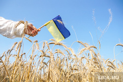 Клипарт depositphotos.com , поле, флаг украины, украинский патриот