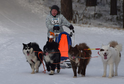 Виктория Ежикова и ее собачья упряжка, в составе которой Аяна (вторая справа)