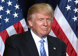 Дональд Трамп, трамп дональд