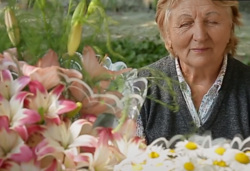 Бабушки с удовольствием продают садовые цветы