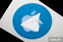 Telegram будет раскрывать данные заподозренных в терроризме