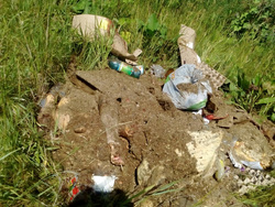 Среди прочего мусора некто выбросил части трупов животных