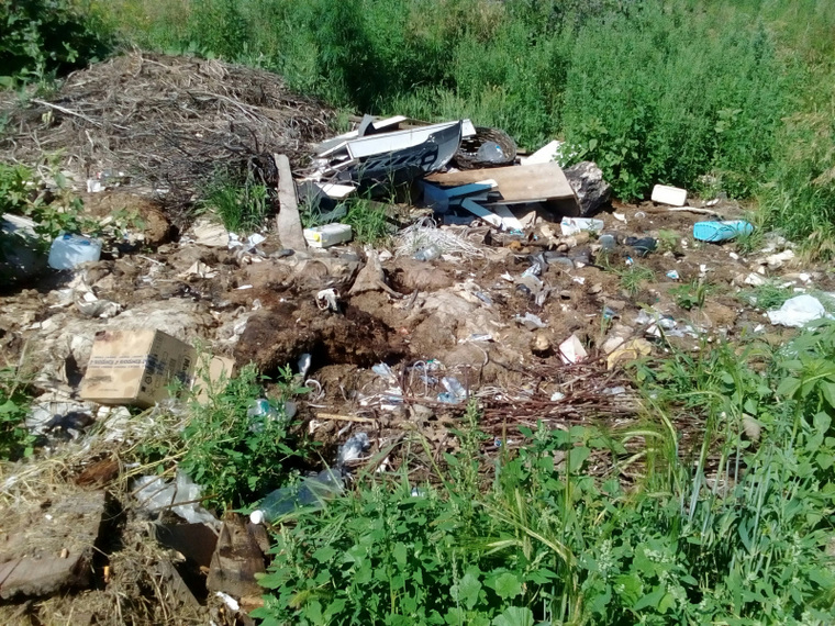 Опасный мусор из села Вяткино вывезли специалисты-ветеринары