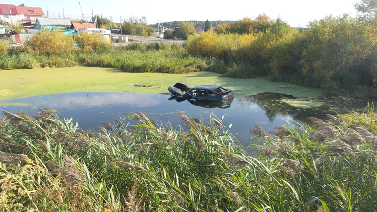 Машина упала в болото