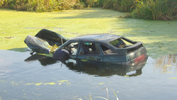 Легковушка упала в болото на окраине Екатеринбурга