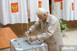 Мякуш. Челябинск, урна для голосования, выборы, избиратель