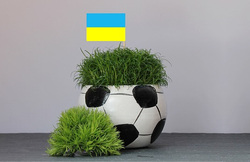 Украинские футболисты готовы сыграть с марсианами, но не с Россией