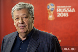 Члены Совета Федерации РФ в волонтерском штабе. Екатеринбург, чернецкий аркадий, чм2018, russia 2018