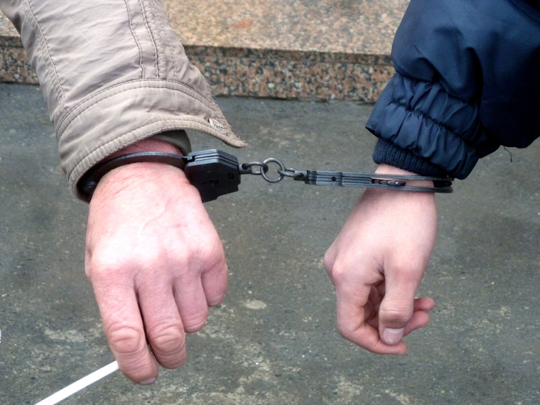 На Никитина надели наручники, когда он шел на прием к министру