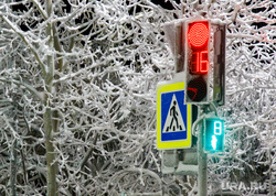 Виды Салехарда, светофор, снег, пешеходный переход, зима, иней, мороз