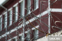 Первое сентября в кировоградской колонии для несовершеннолетних, колючая проволока, зона, тюрьма, место заключения, отбывание наказания
