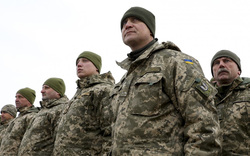 Украинская армия едва ли способна «воевать за свою землю», считает Стеценко