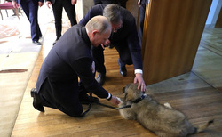 Путину очень понравился щенок