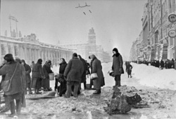 Журналистка считает, что гибель более чем миллиона человек в Ленинграде обесценивают