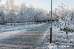 Разное. Курган, снег, зима, городской сад, природа, иней на деревьях