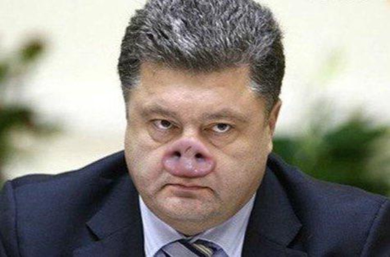 Главным «подхрюкивателем» в России считают украинского лидера