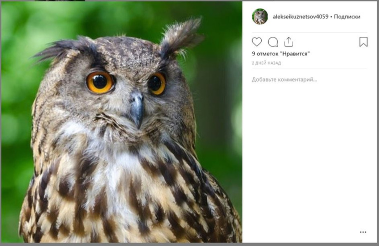 Первый пост на странице Кузнецова в Instagram (деятельность запрещена в РФ)