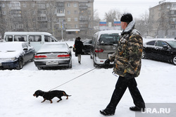 Снегопад. Уборка города. Челябинск., собака, зима, прогулка с собакой, такса