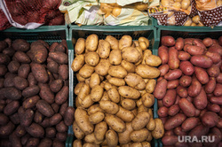 Открытие супермаркета «Перекресток». Екатеринбург, овощи, продуктовый магазин, картофель, картошка, прилавок