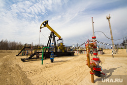Роснефть. Нижневартовск , роснефть, качалка, куст, нефть, добыча нефти