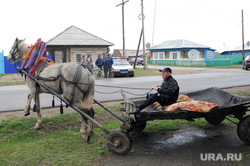 Клипарт. Челябинск, лошадь, телега