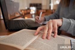 Подготовка студентов к зимней экзаменационной сессии. Екатеринбург, университет, ноутбук, учебник, подготовка, институт, студенты, сессия, экзамены