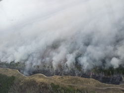 Дальнейшее развитие ситуации с лесными пожарами в Курганской области зависит от погоды