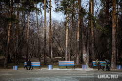 Пресс-тур в парк Зеленая Роща, посвященный вопросам благоустройства территории. Екатеринбург, зеленая роща, парк