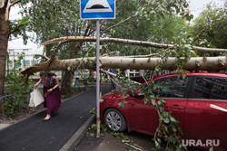Упавшие деревья после урагана. Тюмень, ураган, штормовое предупреждение, автомобиль, сломанное дерево, шторм, упавшее дерево, дерево упало на машину