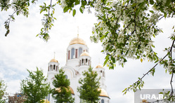 Виды Екатеринбурга, храм на крови, растение, яблоня, дерево