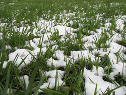 Клипарт depositphotos.com, снег летом, холодное лето, зеленая трава