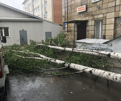 Из-за сильного ветра в Перми повалило деревья и затопило улицы